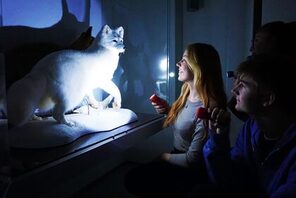 Bildmotiv Taschenlampenführungen LICHT AN © Landeshauptstadt Mainz