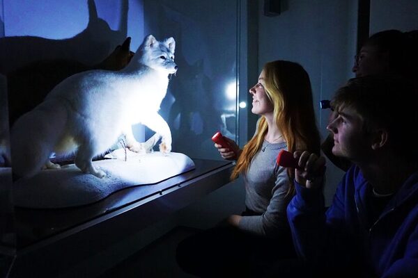 Bildmotiv Taschenlampenführungen LICHT AN © Landeshauptstadt Mainz