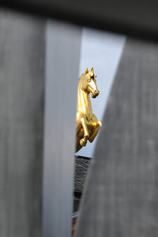 Das goldene Ross schmückt das Dach des Landesmuseums