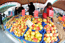 Bildergalerie Wochenmarkt Apfelstand auf dem Mainzer Wochenmarkt Apfelvielfalt auf dem Mainzer Wochenmarkt