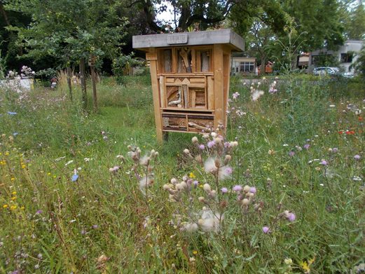 Blühwiese mit Insektenhotel