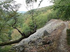 Im Urwald von morgen: Nationalpark Hunsrueck-Hochwald