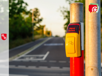 Anforderungstaster für Fahrräder an Ampel vor Straße im Sonnenlicht