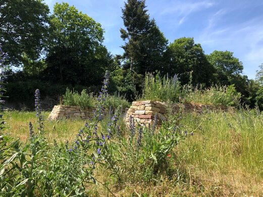 Trockenmauern und Wildstauden auf der Zitadelle