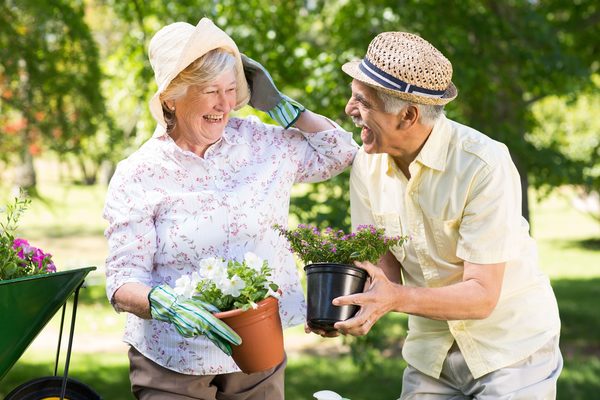 Ältere Frau und älterer Mann bei der Gartenarbeit. © WavebreakMediaMicro Fotolia.com