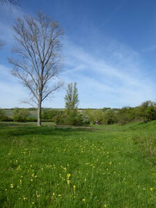 Auf dem Foto ist ein Naturschutzgebiet-Schild abgebildet.
