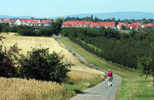 Feldweg in der Draiser Senke, am Wegrand Obstbäume