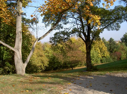 Herbst im Hartenbergpark Mainz