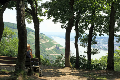 Rheinblick am Damianskopf im Binger Wald