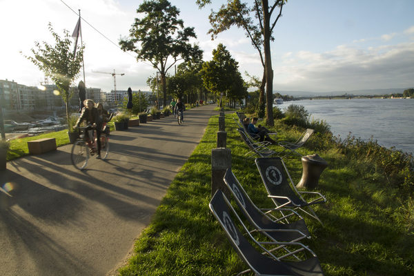 Grünstreifen am Winterhafen © Carola Schmitt