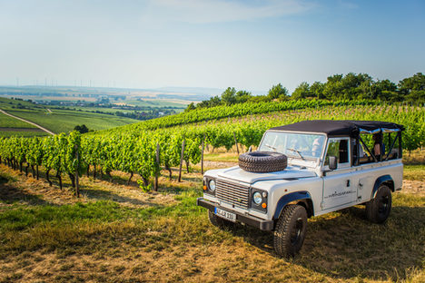 Weinsafari durch Rheinhessen