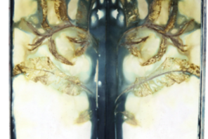 Künstlerbuch von Tanja Leonhardt © Tanja Leonhardt