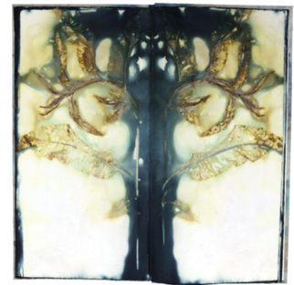 Künstlerbuch von Tanja Leonhardt