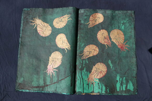 Stempeldrucke aus dem Buch „Nautilus“.