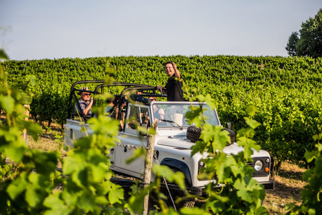 Weinsafari in den Weinbergen Lonsheims