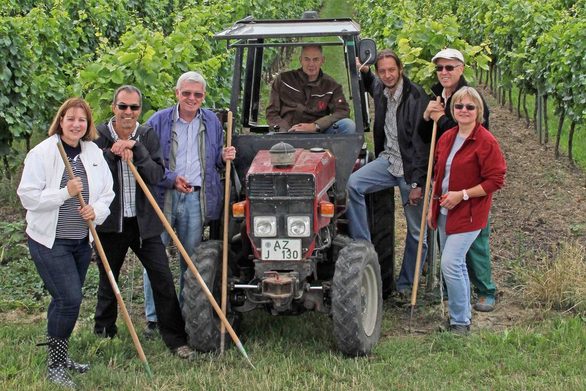 Die Arbeit des Winzers hautnah erleben